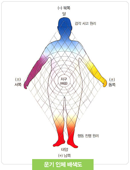 운기인체배색도